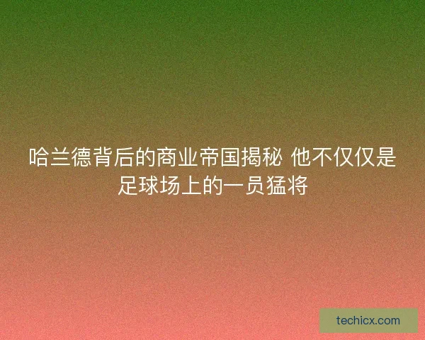 哈兰德背后的商业帝国揭秘 他不仅仅是足球场上的一员猛将