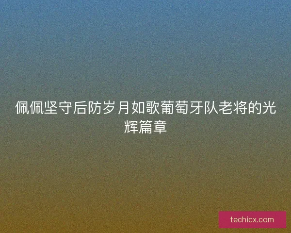 佩佩坚守后防岁月如歌葡萄牙队老将的光辉篇章